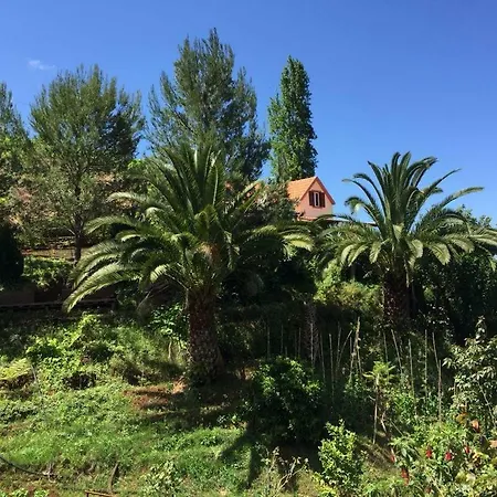 Casa D'Olivia Villa Porto Da Cruz Exterior photo