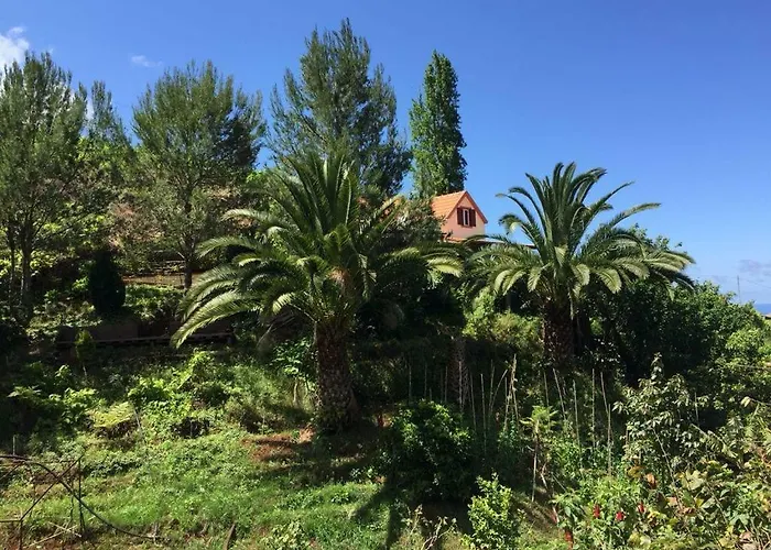 Casa D\'Olivia