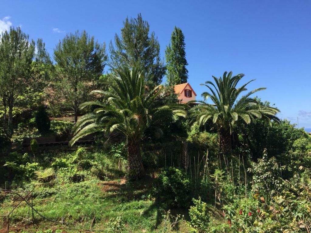 Casa D'olivia Holiday home Porto Da Cruz
