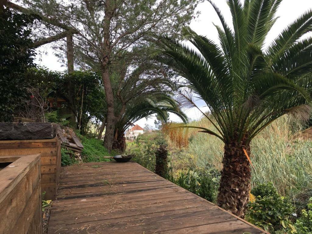 Casa D'olivia Holiday home
